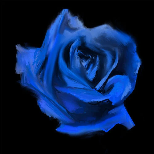 CURRENT JOYS《ROSEBUD》LP（黑色黑胶）