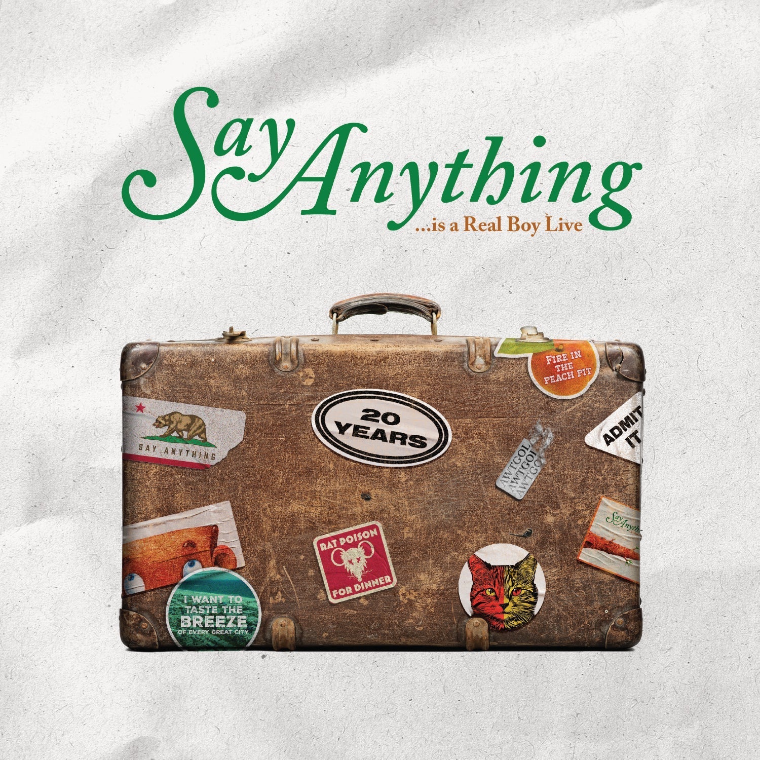 SAY ANYTHING ...IS A REAL BOY Live 2LP on Green Yellow Brown Color-in-Color Vinyl