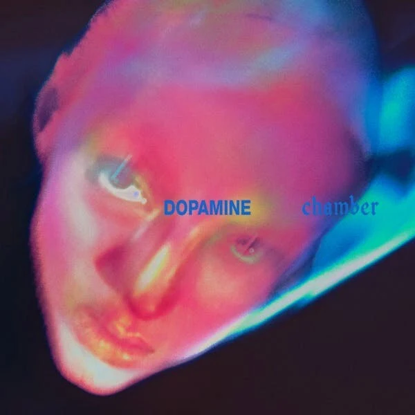 Black Vinyl 2LP of FONTAINES D.C. 'DOPAMINE CHAMBER'