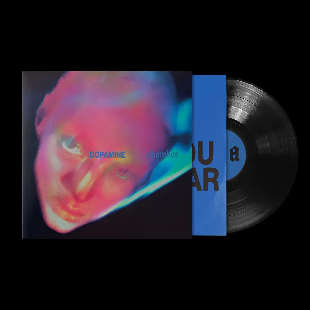 Black Vinyl 2LP of FONTAINES D.C. 'DOPAMINE CHAMBER'