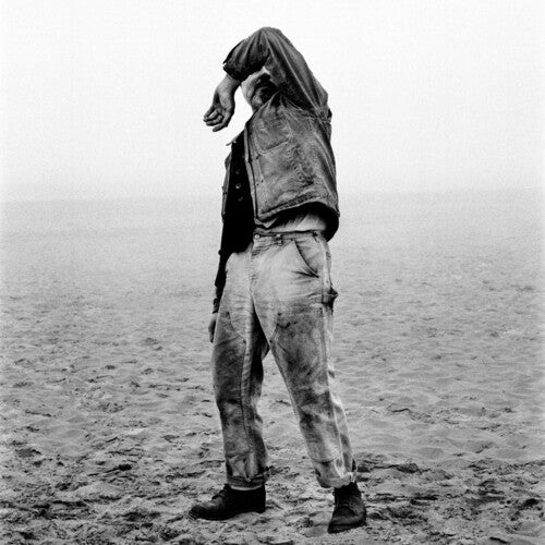 TALLEST Man on Earth Just BEYOND ENDLESS MOUNTAIN Vinyl LP