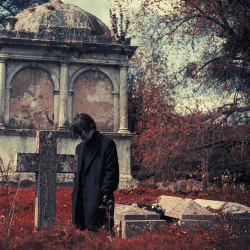 STEVEN WILSON 'REQUIEM FOR A VILLAGE' 2LP Black Vinyl