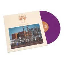 CHAT PILE 'GOD'S COUNTRY' Debut Album LP on Grimace Purple Vinyl