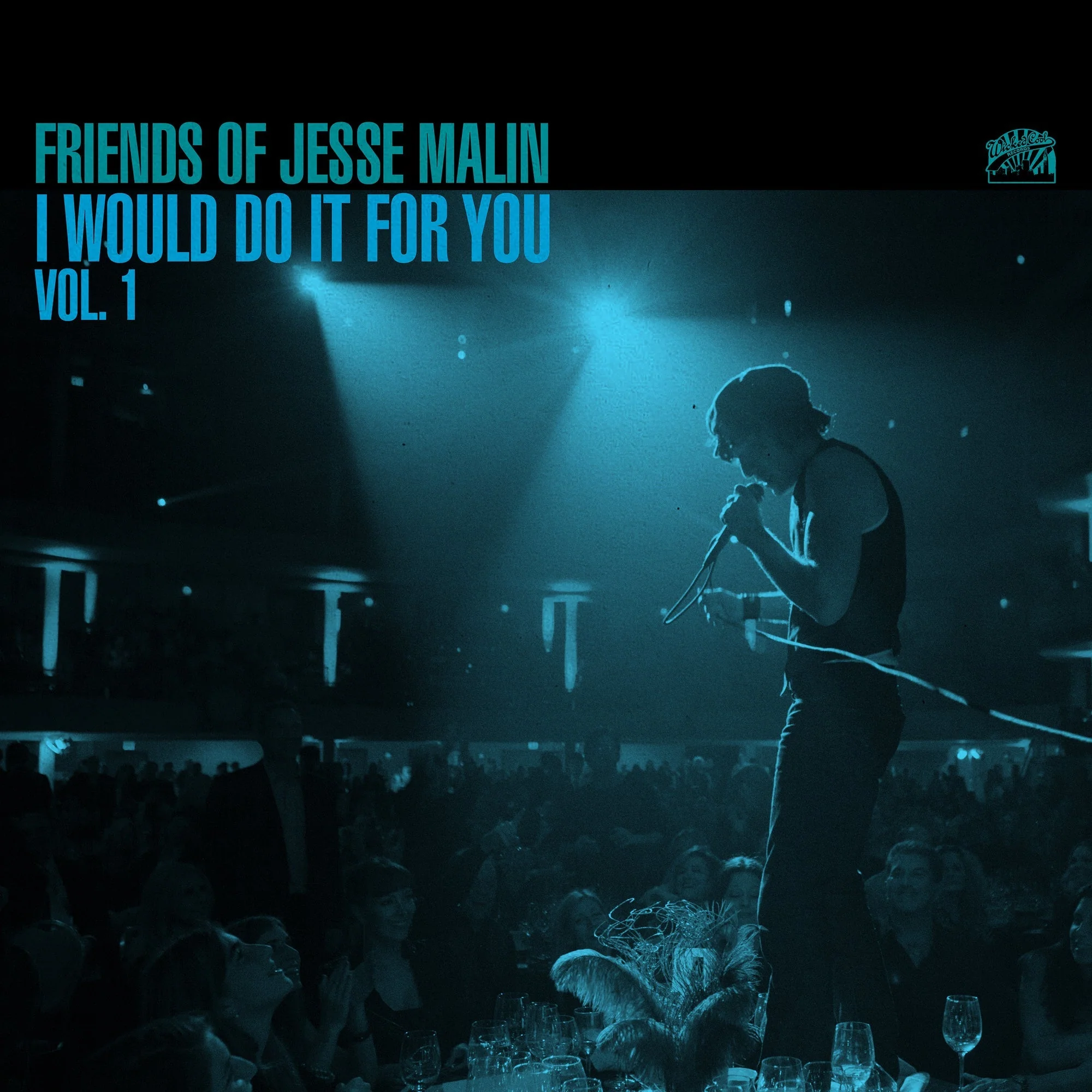 JESSE MALIN 'FRIENDS OF JESSE MALIN - I WOULD DO IT FOR YOU VOL. 1' Black Vinyl LP