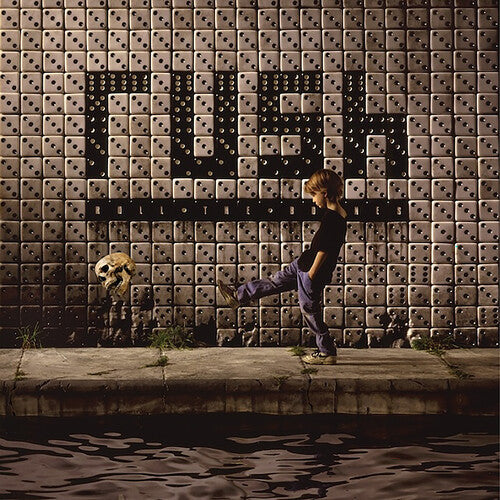 Rush Roll the Bones LP on Black Vinyl