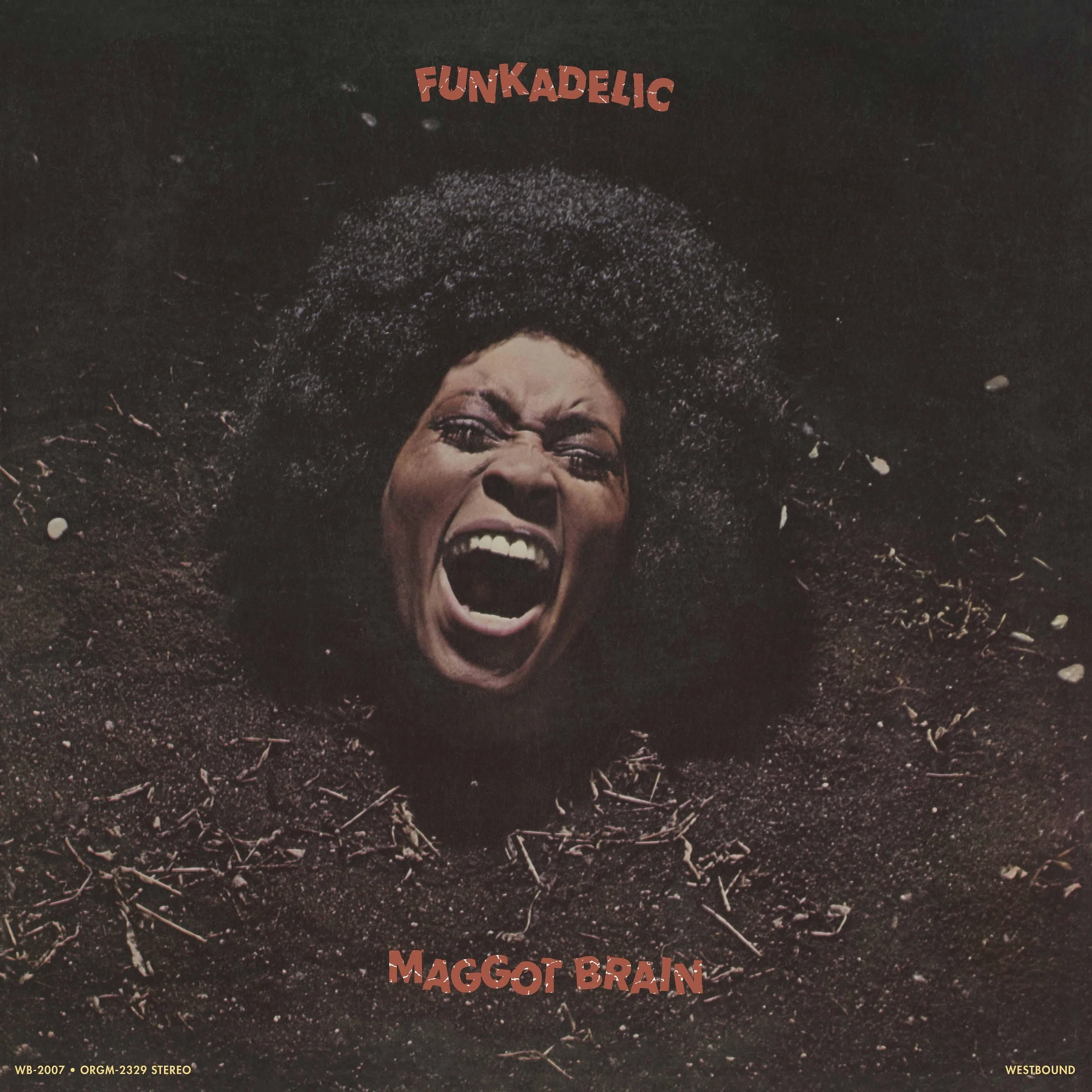 FUNKADELIC 'MAGGOT BRAIN' LP Black Vinyl Reissue from Org Music